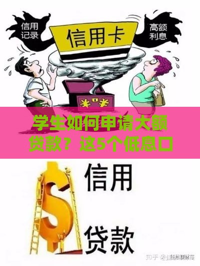 学生如何申请大额贷款？这5个低息口子成功率高达90%