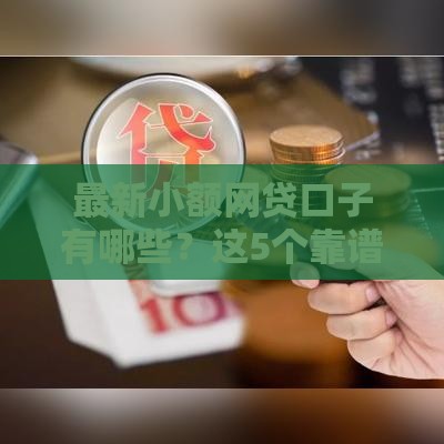 最新小额网贷口子有哪些？这5个靠谱平台别错过！