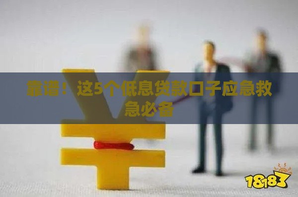 靠谱！这5个低息贷款口子应急救急必备