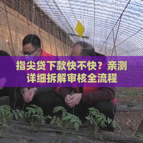 指尖贷下款快不快？亲测详细拆解审核全流程