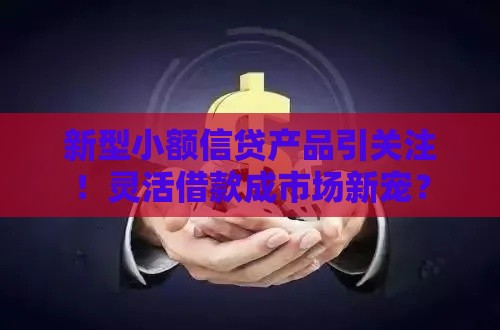 新型小额信贷产品引关注！灵活借款成市场新宠？