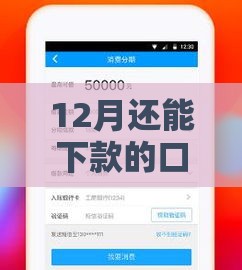 12月还能下款的口子有哪些？急用钱必看攻略，这几个渠道审核快放款稳！