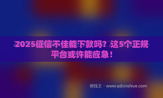 2025征信不佳能下款吗？这5个正规平台或许能应急！