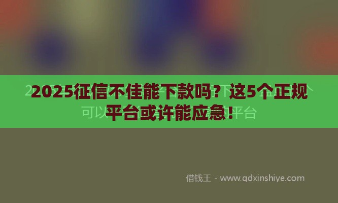 2025征信不佳能下款吗？这5个正规平台或许能应急！