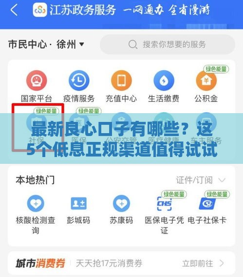 最新良心口子有哪些？这5个低息正规渠道值得试试