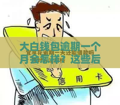 大白钱包逾期一个月会怎样？这些后果和应对方法要记牢！