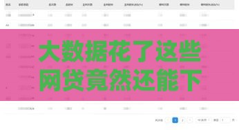 大数据花了这些网贷竟然还能下款