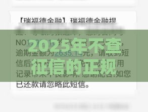 2025年不查征信的正规贷款有哪些？这几个方法或许能帮你救急