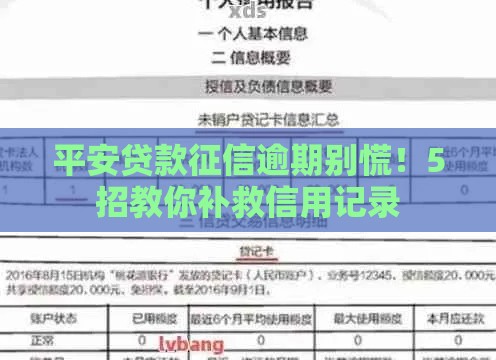 平安贷款征信逾期别慌!5招教你补救信用记录 平安贷款征信逾期别慌!5招教你补救信用记录