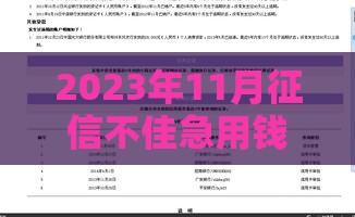 2023年11月征信不佳急用钱？真实经验教你找合规渠道