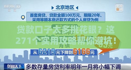 贷款口子太多挑花眼？这271个实用攻略帮你避坑！