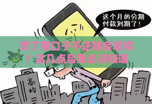贷了黑口子不还钱会怎样？这几点后果必须知道