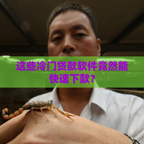 这些冷门贷款软件竟然能快速下款？