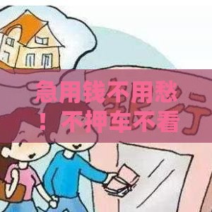 急用钱不用愁！不押车不看征信的贷款方案全解析