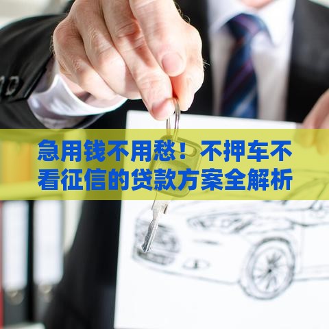 急用钱不用愁！不押车不看征信的贷款方案全解析