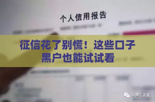 征信花了别慌!这些口子黑户也能试试看 征信花了别慌!这些口子黑户也能试试看