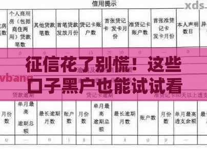 征信花了别慌!这些口子黑户也能试试看 征信花了别慌!这些口子黑户也能试试看