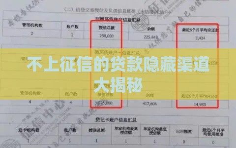 不上征信的贷款隐藏渠道大揭秘