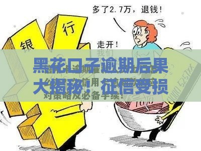 黑花口子逾期后果大揭秘！征信受损、催收上门？教你三招补救方法