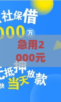 急用2000元怎么借？这些靠谱小额贷款口子下款快、门槛低！