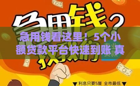 急用钱看这里！5个小额贷款平台快速到账 真实经验分享