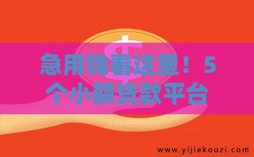 急用钱看这里！5个小额贷款平台快速到账 真实经验分享