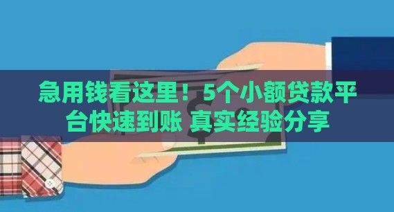 急用钱看这里！5个小额贷款平台快速到账 真实经验分享