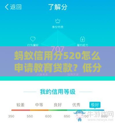 蚂蚁信用分520怎么申请教育贷款？低分攻略+实操技巧速看！
