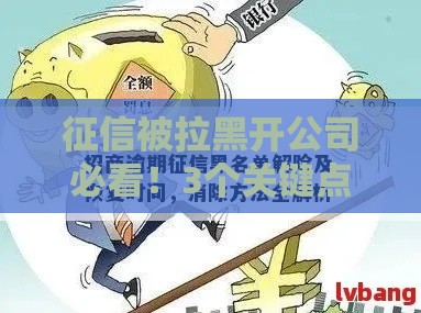征信被拉黑开公司必看！3个关键点教你破局