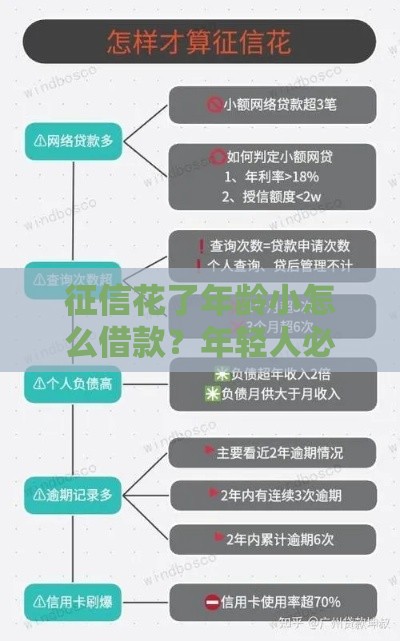 征信花了年龄小怎么借款？年轻人必看5个技巧