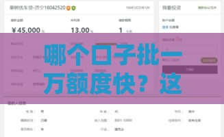 哪个口子批一万额度快？这5个低门槛平台真实测评