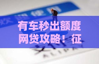 有车秒出额度网贷攻略！征信花了这样操作更稳妥