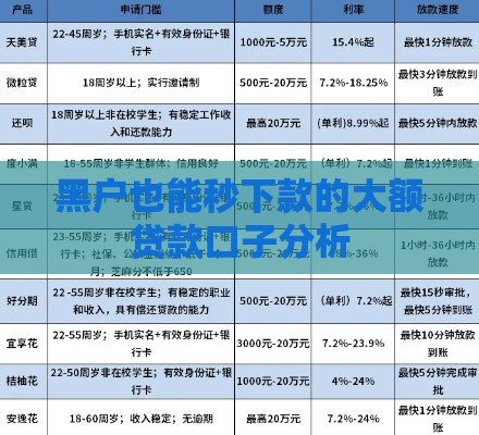 黑户也能秒下款的大额贷款口子分析
