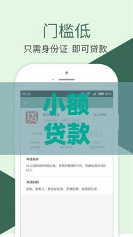 小额贷款新口子门槛低到震惊，这几点让你轻松过审