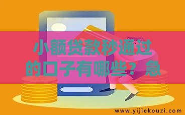 小额贷款秒通过的口子有哪些？急用钱必看这3个技巧