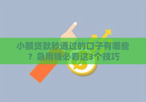 小额贷款秒通过的口子有哪些？急用钱必看这3个技巧