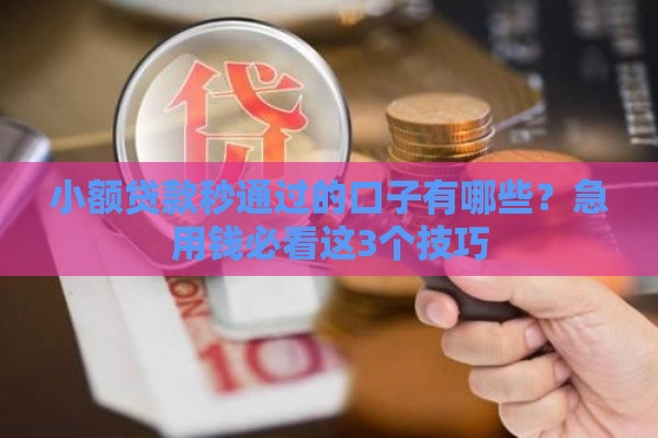 小额贷款秒通过的口子有哪些？急用钱必看这3个技巧