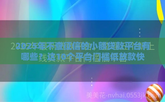 2025年不查征信的小额贷款平台有哪些？这10个平台门槛低放款快