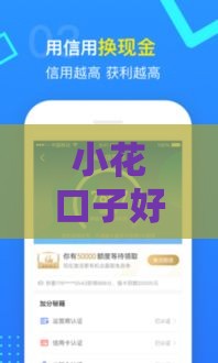 小花口子好下款吗？实测这几点决定通过率！附避坑指南