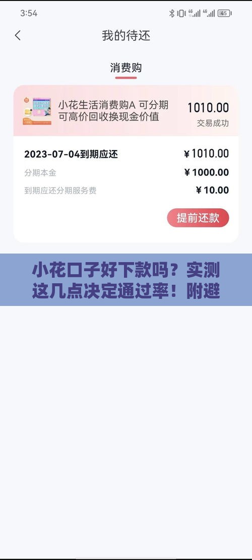 小花口子好下款吗？实测这几点决定通过率！附避坑指南