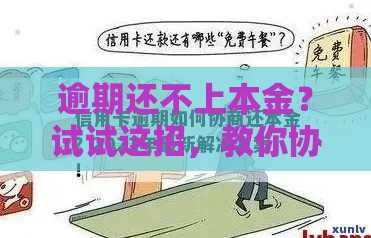 逾期还不上本金？试试这招，教你协商分期还款！