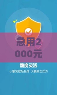 急用2000元？教你快速借款到账的3个靠谱方法