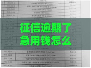 征信逾期了急用钱怎么办？这5个借钱渠道还能用！
