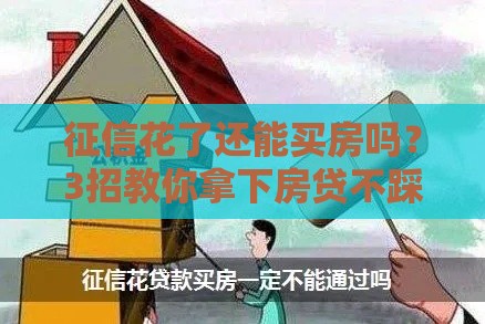 征信花了还能买房吗？3招教你拿下房贷不踩坑