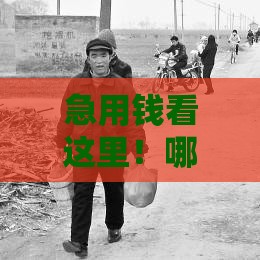 急用钱看这里！哪些贷款平台有类似“糖果贷”的靠谱选择？