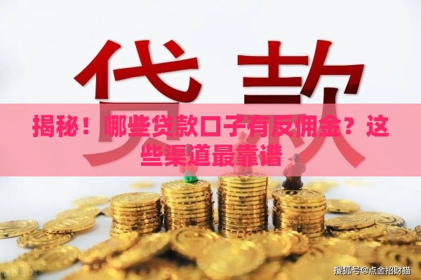 揭秘！哪些贷款口子有反佣金？这些渠道最靠谱