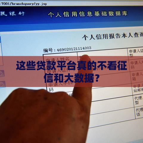 这些贷款平台真的不看征信和大数据？