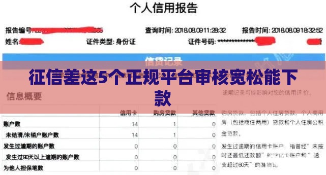 征信差这5个正规平台审核宽松能下款