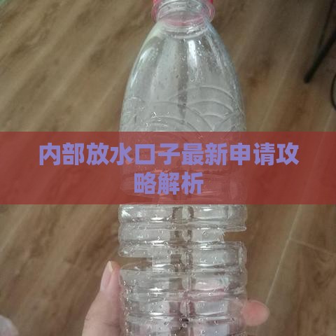 内部放水口子最新申请攻略解析
