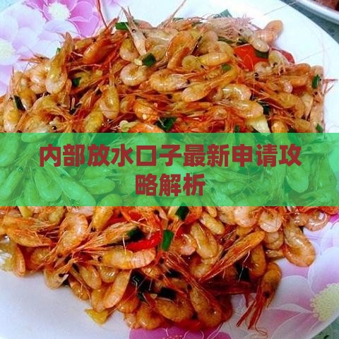 内部放水口子最新申请攻略解析